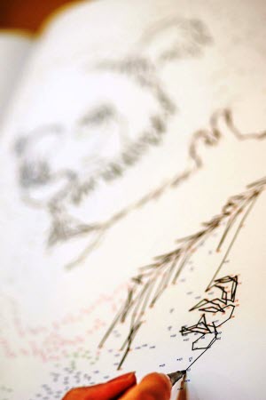 1000 Dot To Dot Animals - close up