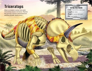 triceratops