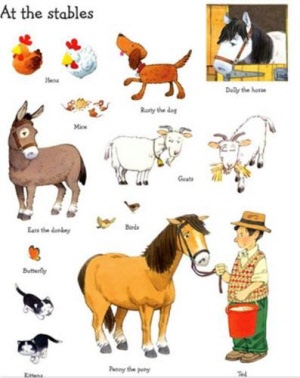 usborne animals sticker book - stables stickers.jpg